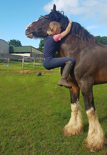 Jasper Hugs