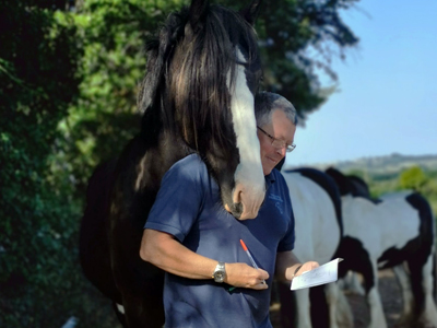Nicko Robertson Stables Equine Practice