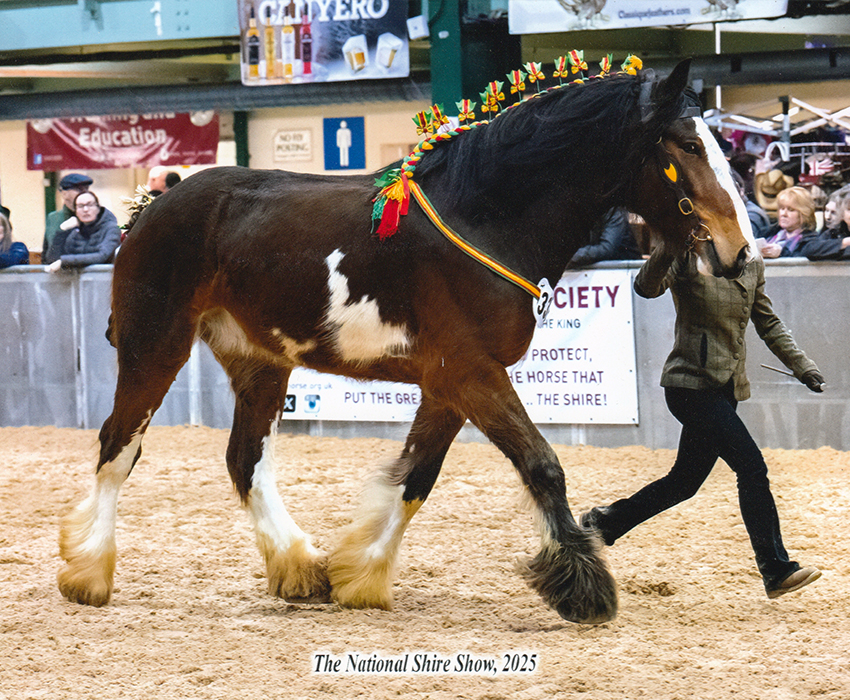 Waterfall Crackerjack Crusader Side Waterfall Crackerjack Crusader Side