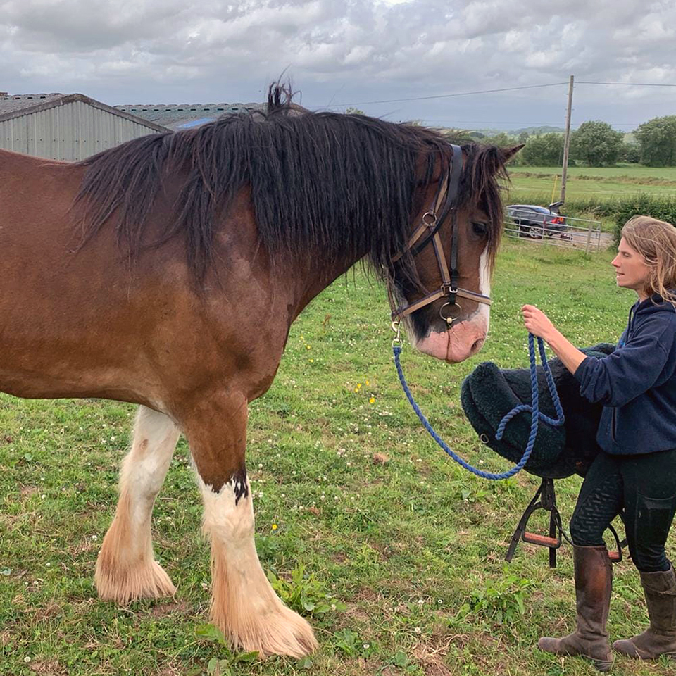 Overcoming Shadow's anxiety with bridle training and leading in a positive way.