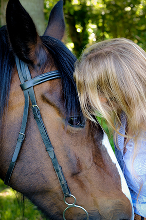 Equine Healing