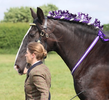 Queenie Queenie