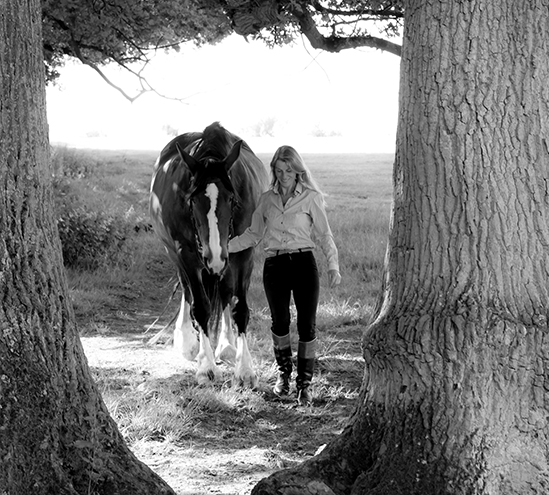 Equine Behaviour Equine Behaviour