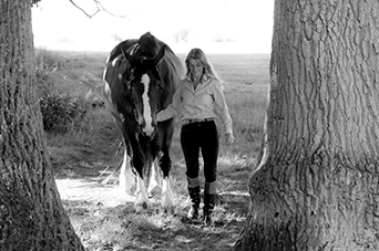 Equine Behaviourist