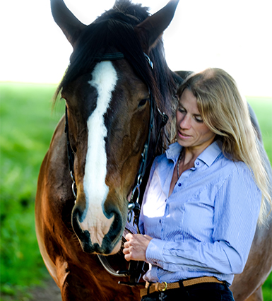 Equine Holistic Therapies Equine Holistic Therapies