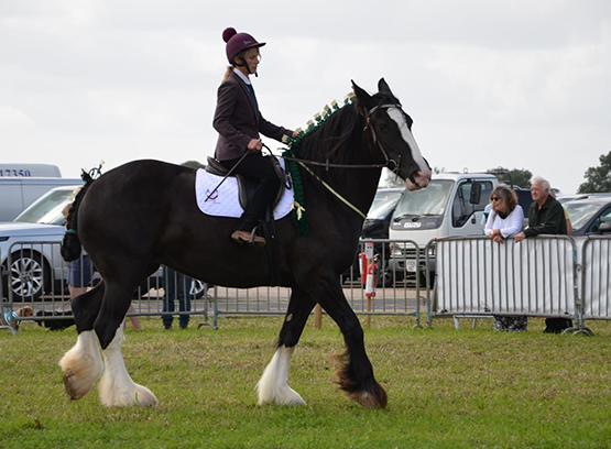 Honiton Hill Rally 2024 Honiton Hill Rally 2024