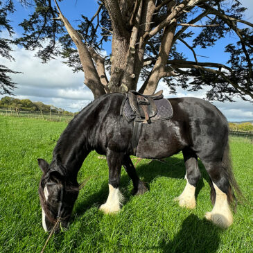 Photoshoot Opportunities 2 Photoshoot Opportunities 2