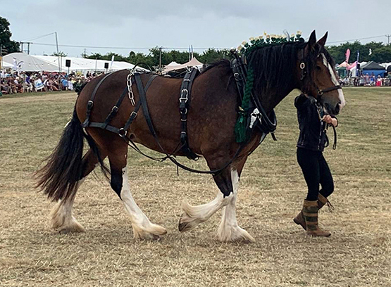 Steam & Vintage Rally 2025 Steam & Vintage Rally 2025